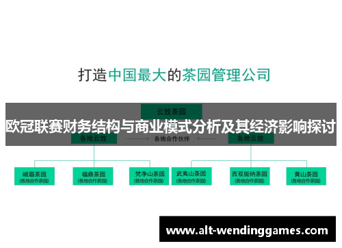 欧冠联赛财务结构与商业模式分析及其经济影响探讨