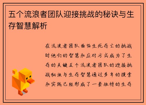 五个流浪者团队迎接挑战的秘诀与生存智慧解析
