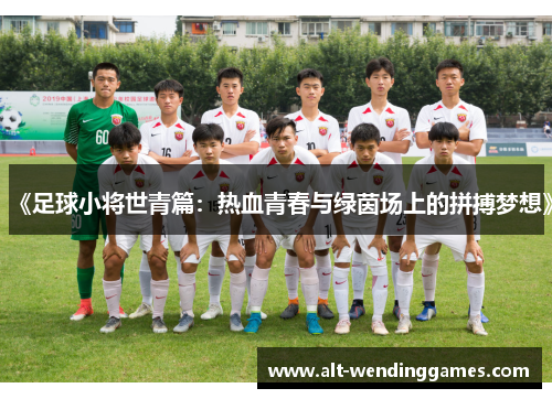《足球小将世青篇：热血青春与绿茵场上的拼搏梦想》