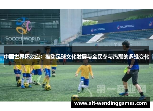 中国世界杯效应：推动足球文化发展与全民参与热潮的多维变化