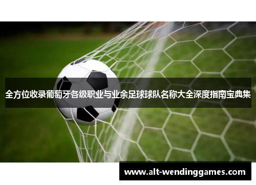 全方位收录葡萄牙各级职业与业余足球球队名称大全深度指南宝典集 全方位收录葡萄牙各级职业与业余足球球队名称大全深度指南宝典集