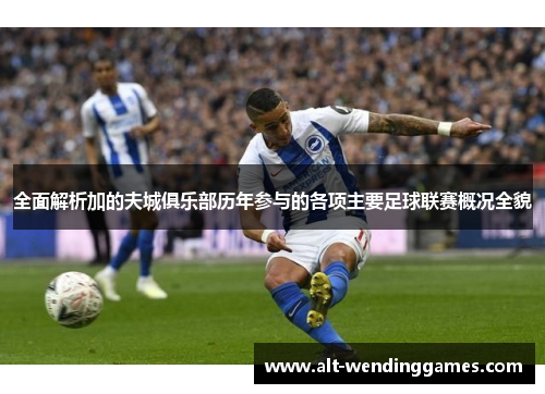 全面解析加的夫城俱乐部历年参与的各项主要足球联赛概况全貌 全面解析加的夫城俱乐部历年参与的各项主要足球联赛概况全貌