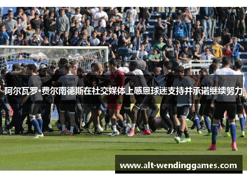 阿尔瓦罗·费尔南德斯在社交媒体上感恩球迷支持并承诺继续努力