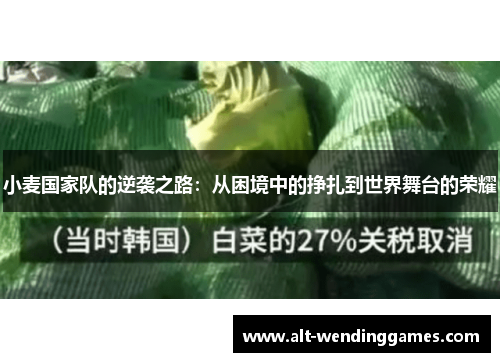 小麦国家队的逆袭之路：从困境中的挣扎到世界舞台的荣耀