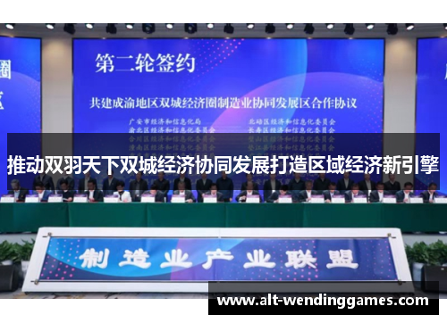 推动双羽天下双城经济协同发展打造区域经济新引擎