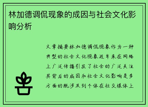 林加德调侃现象的成因与社会文化影响分析